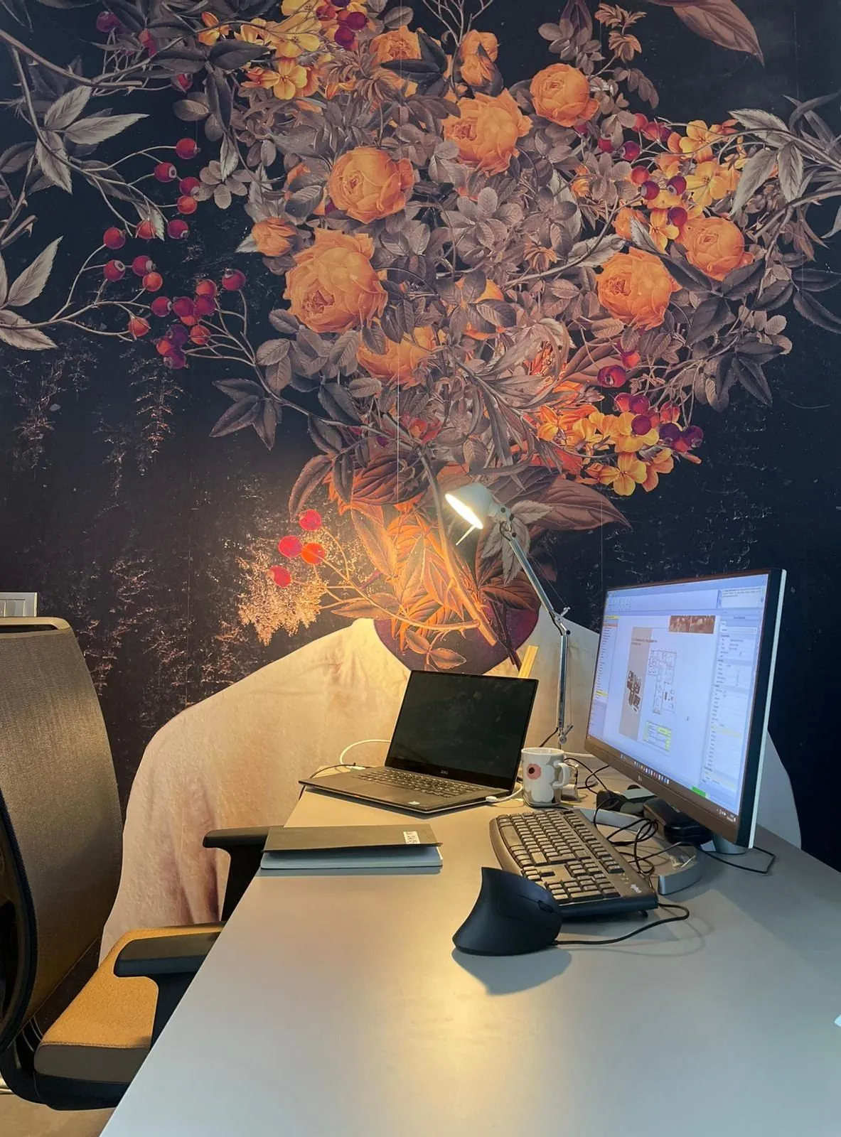 Lo studio di Trento
